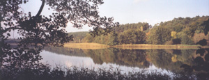 zenssee