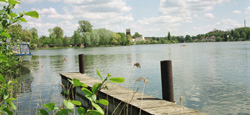 stadtsee