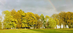 allee